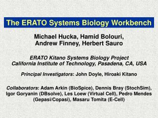 The ERATO Systems Biology Workbench