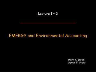 EMERGY and Environmental Accounting