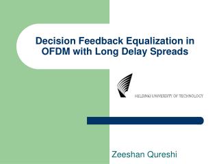Decision Feedback Equalization in OFDM with Long Delay Spreads