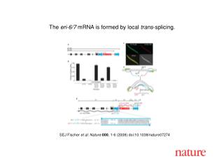 S EJ Fischer et al. Nature 000 , 1- 6 (2008) doi:10.1038/nature07 274