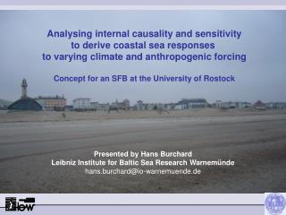 Analysing internal causality and sensitivity to derive coastal sea responses