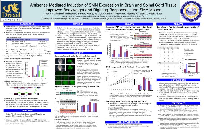 PPT - SMN Expression Improvement in SMA Mouse Model PowerPoint ...
