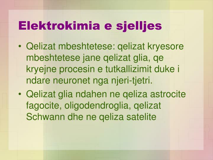 elektrokimia e sjelljes