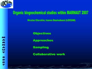 Organic biogeochemical studies within MARNAUT 2007