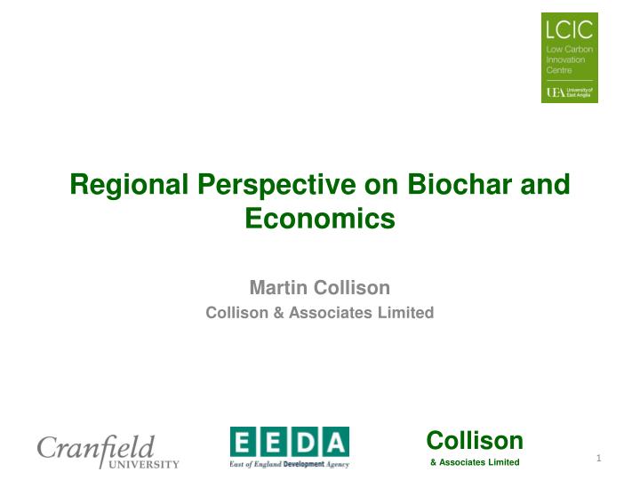 regional perspective on biochar and economics