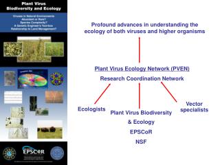 Plant Virus Ecology Network (PVEN) Research Coordination Network