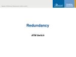 Redundancy - slide 1