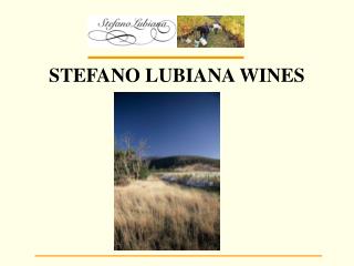 STEFANO LUBIANA WINES