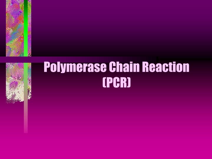 polymerase chain reaction pcr