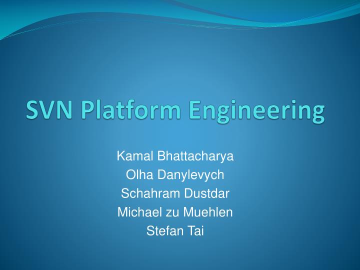 svn platform engineering