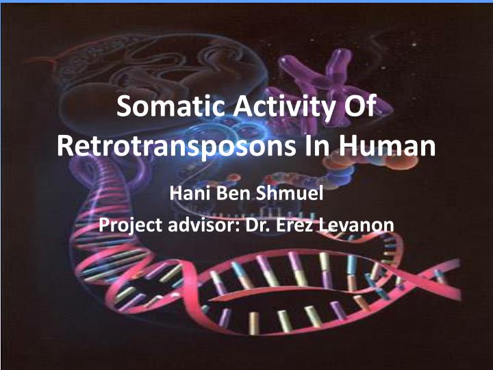 somatic activity of retrotransposons in human
