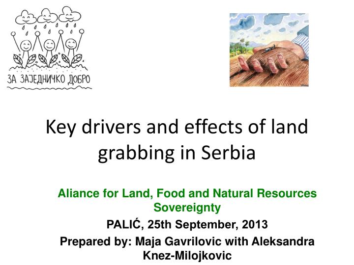 k ey drivers and effects of land grabbing in serbia