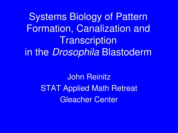 systems biology of pattern formation canalization and transcription in the drosophila blastoderm