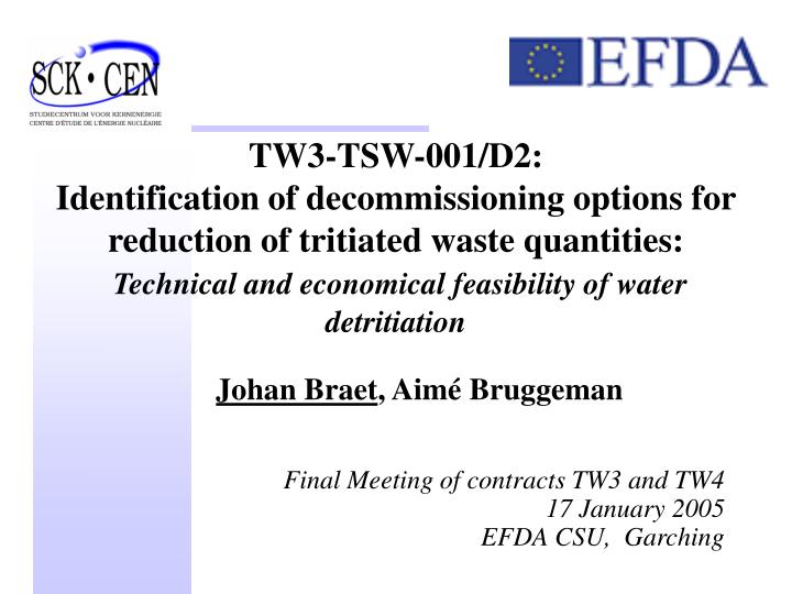 johan braet aim bruggeman final meeting of contracts tw3 and tw4 17 january 2005 efda csu garching