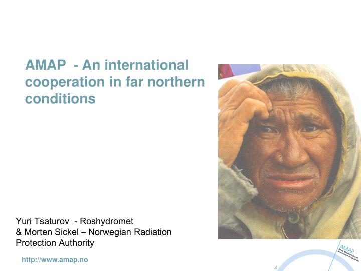 amap an international cooperation in far northern conditions