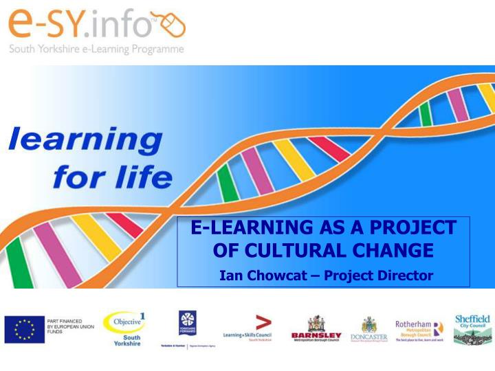 e learning as a project of cultural change ian chowcat project director