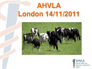 AHVLA London 14/11/2011