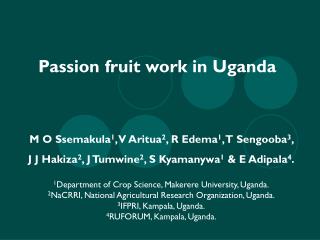 Passion fruit work in Uganda