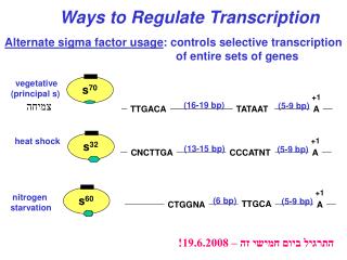 Alternate sigma factor usage : controls selective transcription