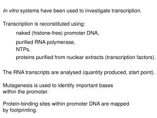 In vitro systems have been used to investigate transcription.