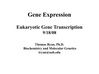 Eukaryotic RNA Polymerases