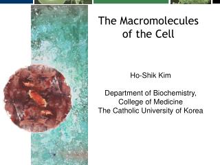 The Macromolecules of the Cell