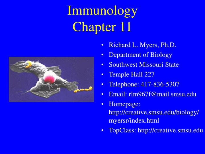 immunology chapter 11