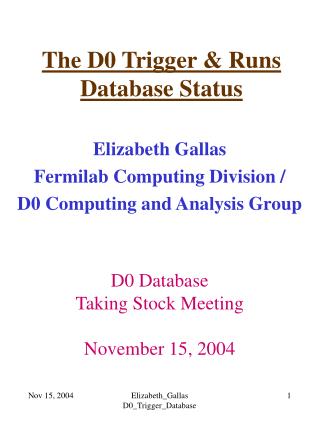 The D0 Trigger &amp; Runs Database Status