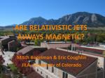 ARE RELATIVISTIC JETS ALWAYS MAGNETIC? - slide 1