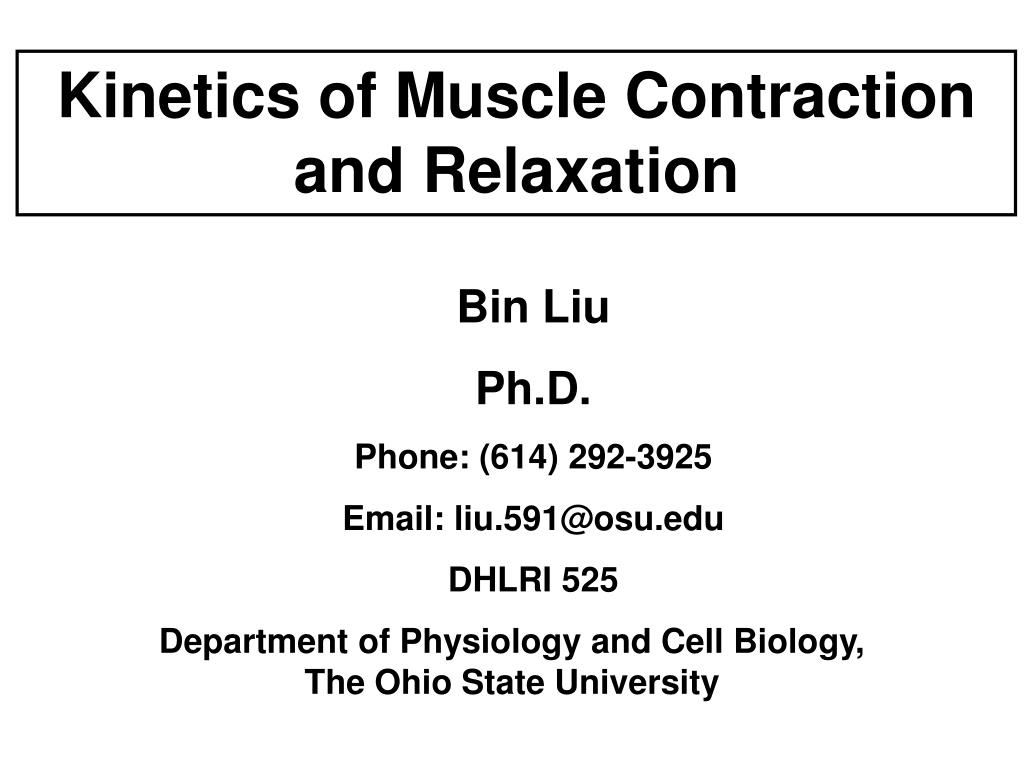 PPT - Understanding the Kinetics of Muscle Contraction and Relaxation ...
