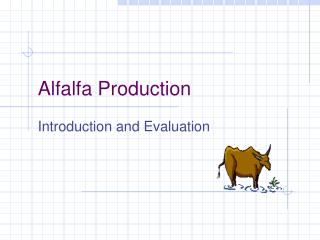 Alfalfa Production