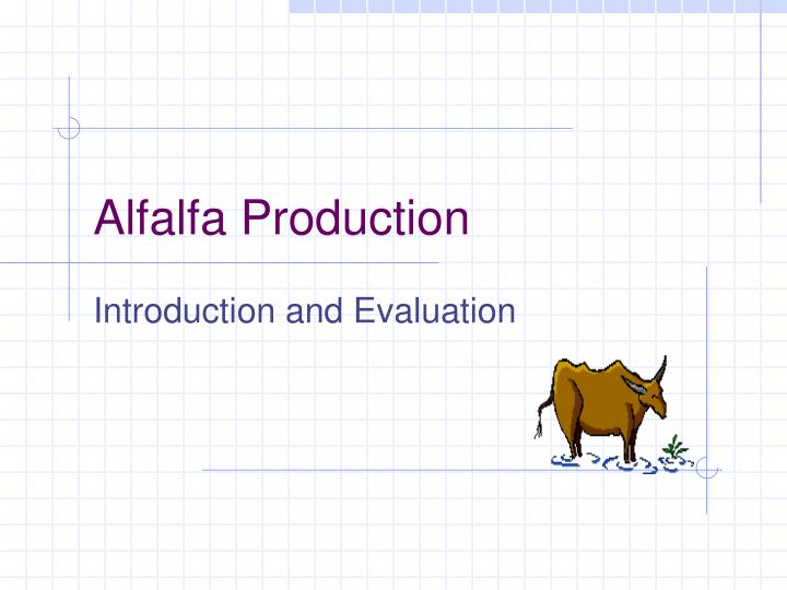 alfalfa production