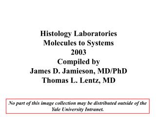 Histology Laboratories Molecules to Systems 2003 Compiled by James D. Jamieson, MD/PhD