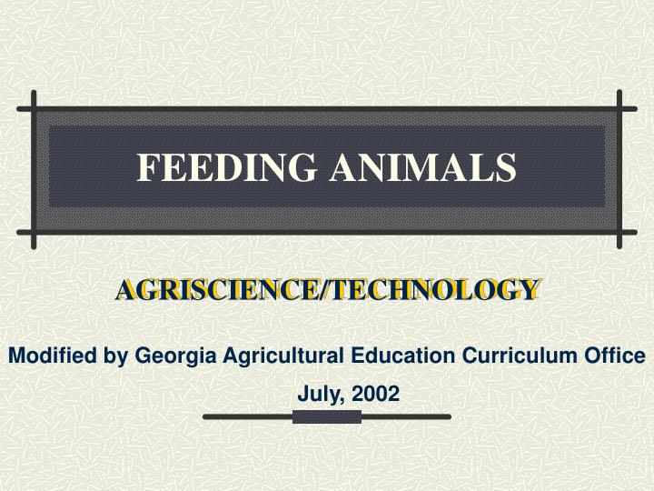 feeding animals
