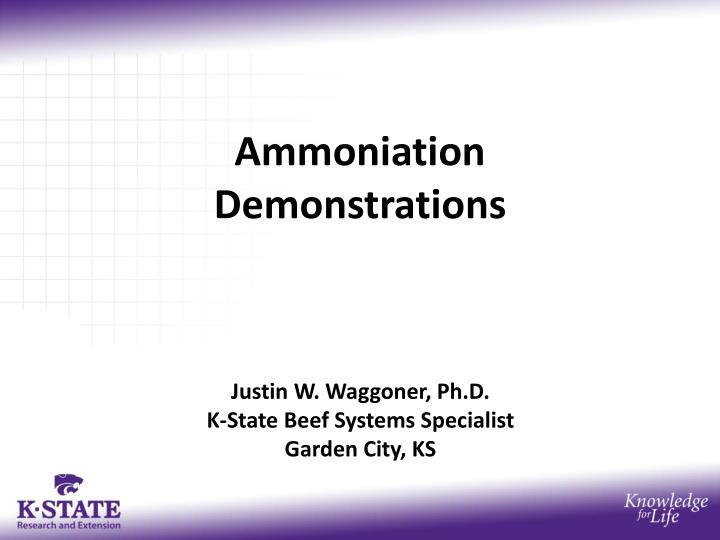 ammoniation demonstrations