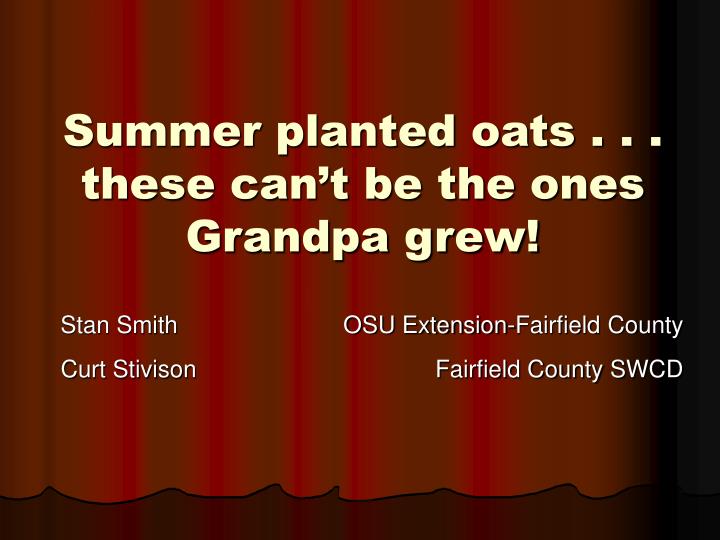 summer planted oats these can t be the ones grandpa grew