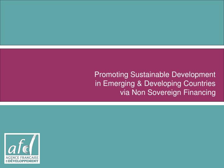 promoting sustainable development in emerging developing countries via non sovereign financing