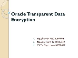 Oracle Transparent Data Encryption
