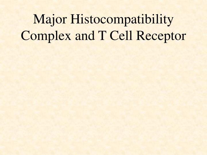 major histocompatibility complex and t cell receptor