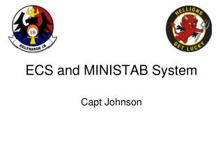 ECS and MINISTAB System
