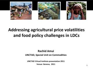 Addressing agricultural price volatilities and food policy challenges in LDCs