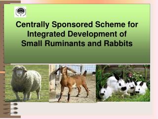 Centrally Sponsored Scheme for Integrated Development of Small Ruminants and Rabbits