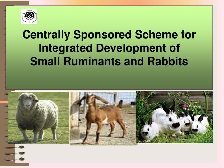 centrally sponsored scheme for integrated development of small ruminants and rabbits