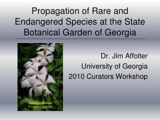 Propagation of Rare and Endangered Species at the State Botanical Garden of Georgia