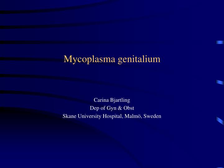 mycoplasma genitalium