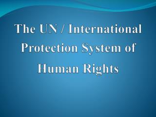 The UN / International Protection System of Human Rights