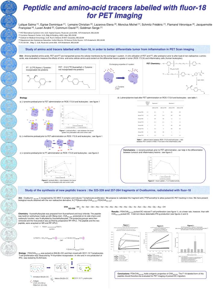 peptidic and amino acid tracers labelled with fluor 18 for pet imaging