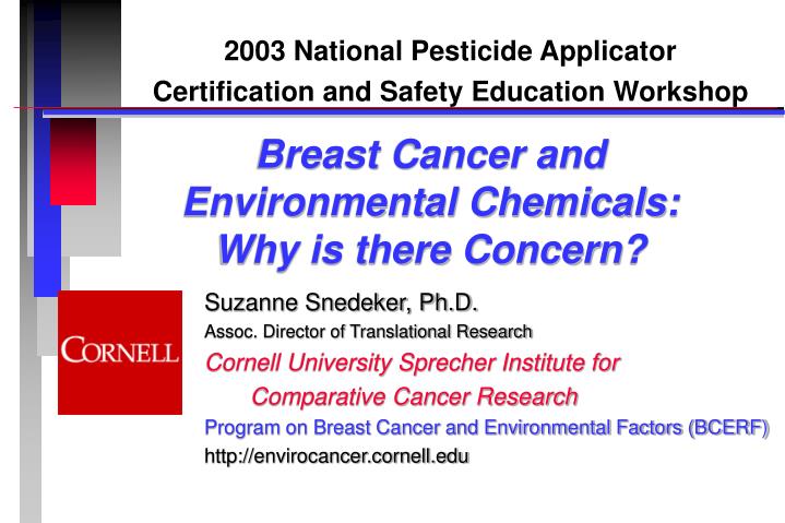 breast cancer and environmental chemicals why is there concern