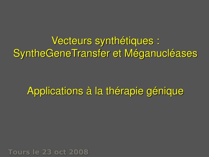 vecteurs synth t i ques synthegenetransfer et m g a nucl a s es applications la th rapie g nique