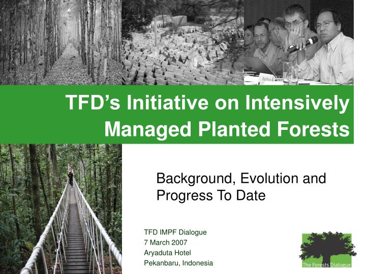 tfd s initiative on intensively managed planted forests